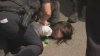 ‘Harrowing': Video shows Worcester police hold girl's face on ground during ICE operation