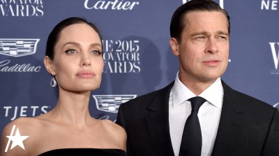 Brad Pitt breaks silence on finalizing Angelina Jolie divorce after 8 years