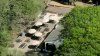 Child seriously hurt by falling tree branch at Boston's Franklin Park Zoo, police say