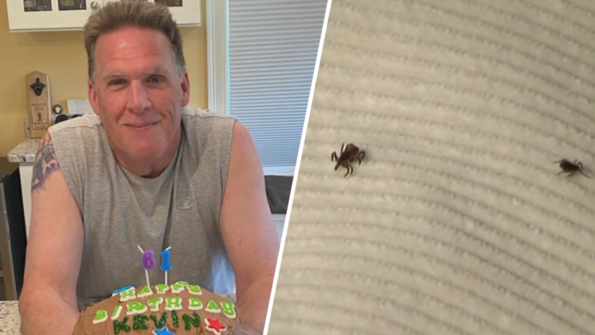 A split image - on the left, a man wearing a gray tank top sits with a birthday cake. On the right, ticks climb across fabric.