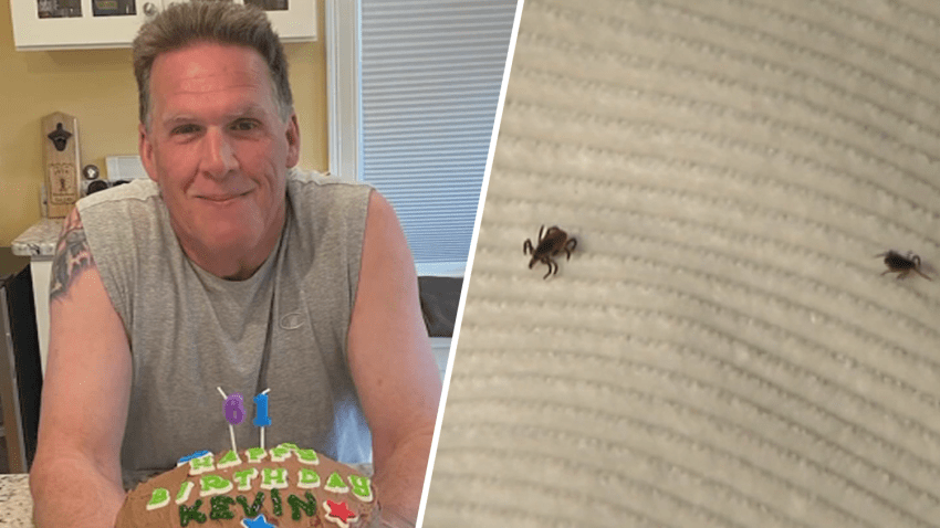 A split image - on the left, a man wearing a gray tank top sits with a birthday cake. On the right, ticks climb across fabric.