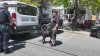 Neighbors rushed to help 8-year-old boy attacked by dog in Manchester yard