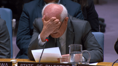 ‘Thousands of children are dying of starvation': Palestinian ambassador weeps over war in Gaza