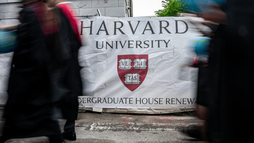 Harvard University graduates attend the university’s 374th commencement ceremony on May 29, 2025 in Cambridge, Massachusetts.