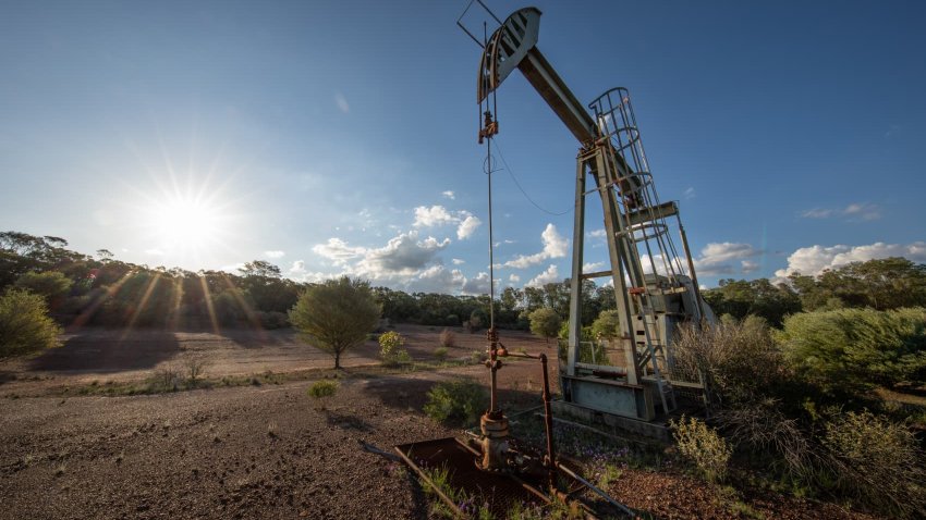 A series of images of landscapes and wildlife from the Brigalow Belt region of Queensland near the town of St. George.