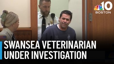 Veterinarian in Swansea accused of abusing animals
