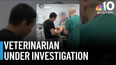 Ex-employees of veterinarian accused of mistreating animals question state investigation