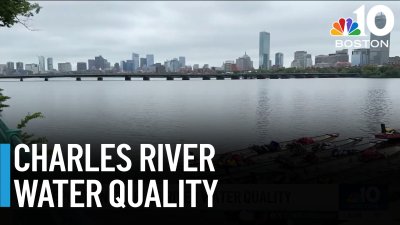 Will we ever have a swimmable Charles River?