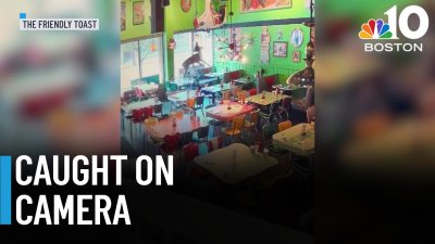 VIDEO:  Deer comes crashing through window of Portsmouth restaurant