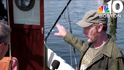 ‘Jaws' memories on the Vineyard as island celebrates 50 years