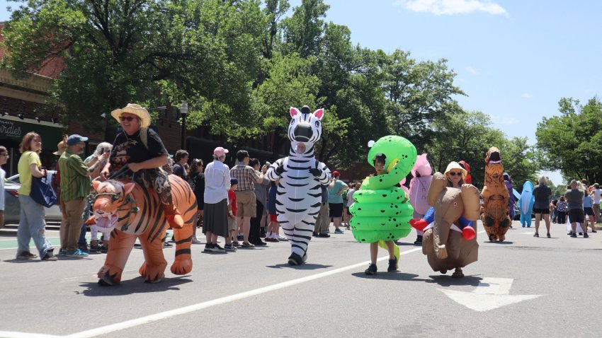 Crowds dressed in inflatable costumes participate in the 'Rhino Rumble Road Race'