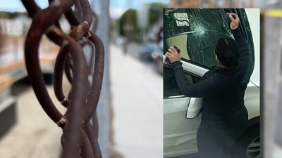 Boston police want to ID 3 women who vandalized Roxbury couple's SUV