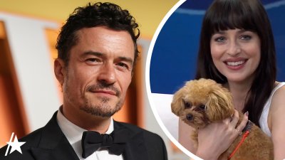 Dakota Johnson ‘babysits' as Orlando Bloom's dog interrupts live interview