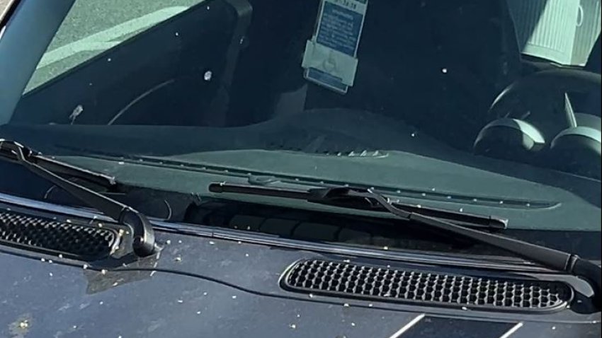 Placard hanging in Decristofaro vehicle