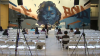 Embrace Ideas Festival Conference: Watch live