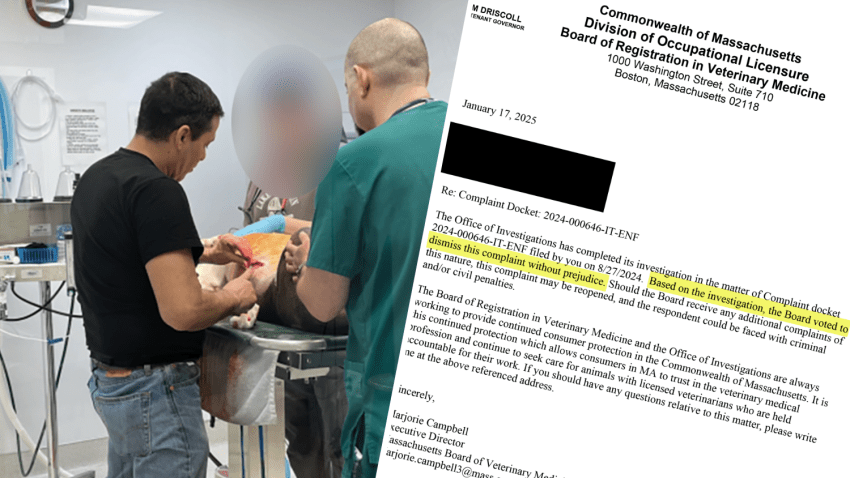 Laura Pettey, a former employee of Swansea Veterinary Center, filed a formal complaint against Dr. Silvera with the Massachusetts’ Board of Registration in Veterinary Medicine.