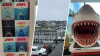 Amity Homecoming: How Martha's Vineyard is marking 50 years of ‘Jaws'