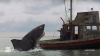 ‘Jaws' at 50: Recap of homecoming weekend on Martha's Vineyard for iconic film