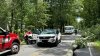 Large tree falls on vehicle in NH, trapping and injuring child inside