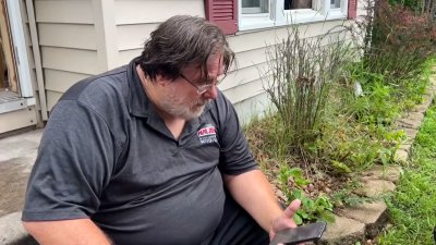 Roommate of suspected Minnesota shooter reads last texts they exchanged