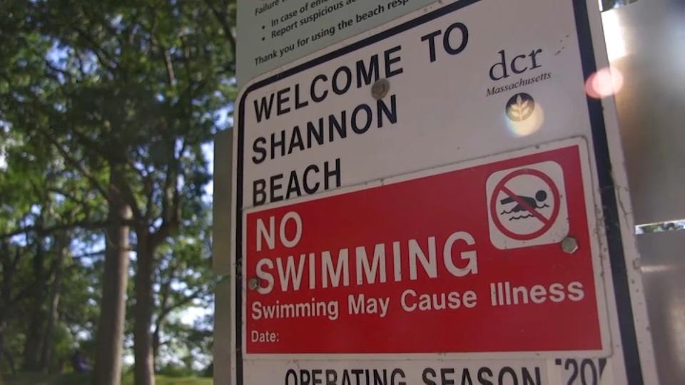 Nearly 20 beaches in Mass. closed today, most due to high bacteria levels