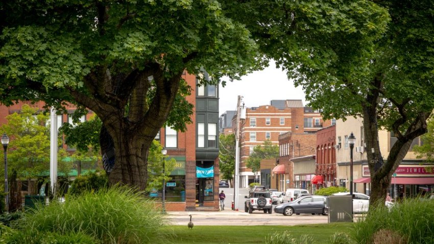 Green space near the entrance to Watertown Square between Main Street and Galen Street.