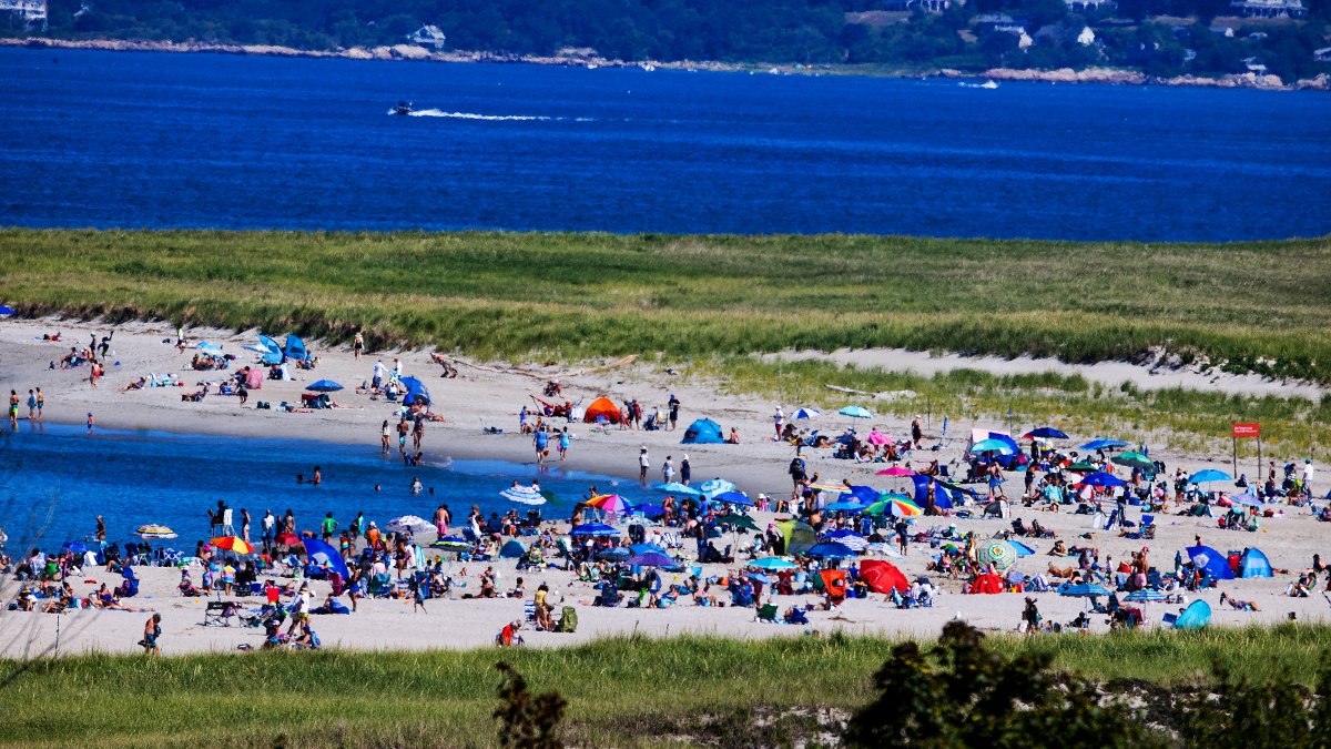 Mass. beach taking precautions after increase in shark sightings last year