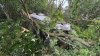 Car rolls over on I-95 in Newburyport, lands upside down in tree