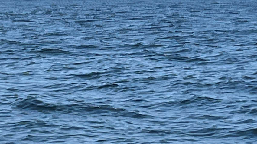 The water of Lake Winnipesaukee