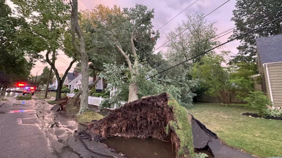 Downed trees, other damage reported after strong storms move through Mass.