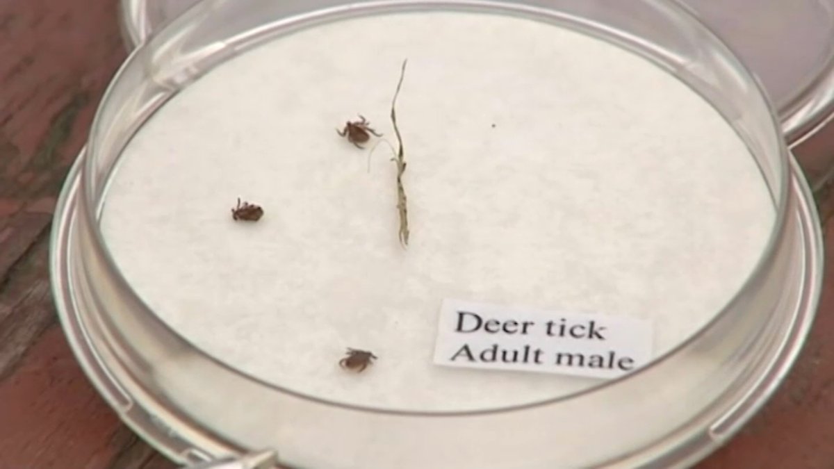 Doctors warn of ticks as baby remains hospitalized with apparent ...