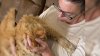 Mass. woman reunited with cat taken by Amazon driver in apparent misunderstanding