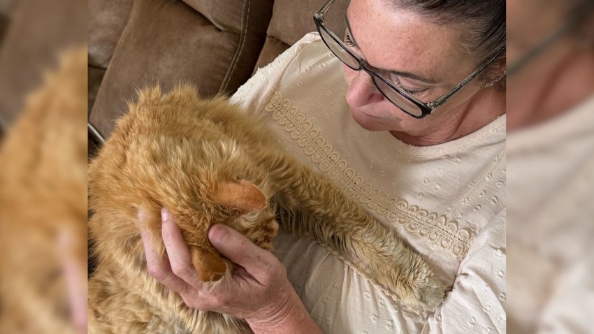 Somerset resident Kathy Souza with her cat after they were reunited on Wednesday, Aug, 6, 2025.