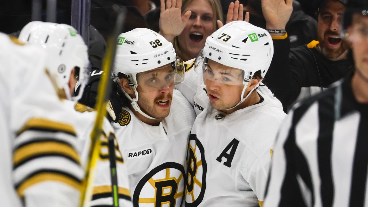Have the Bruins' Expectations Really Stayed the Same for David Pastrnak?