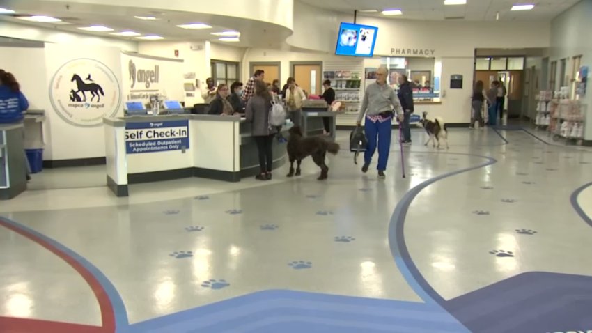 MSPCA-Angell has opened a new pathology lab that will help provide live-saving care to pets.