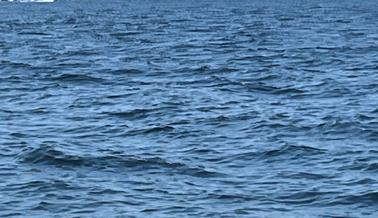 Man rescued after being thrown from boat at mouth of Merrimack River