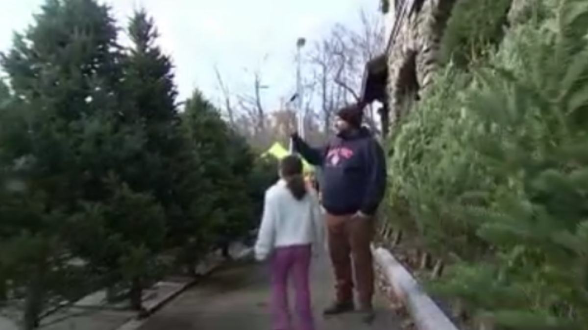 In Belmont, Lions Club raises money for charity while selling Christmas trees