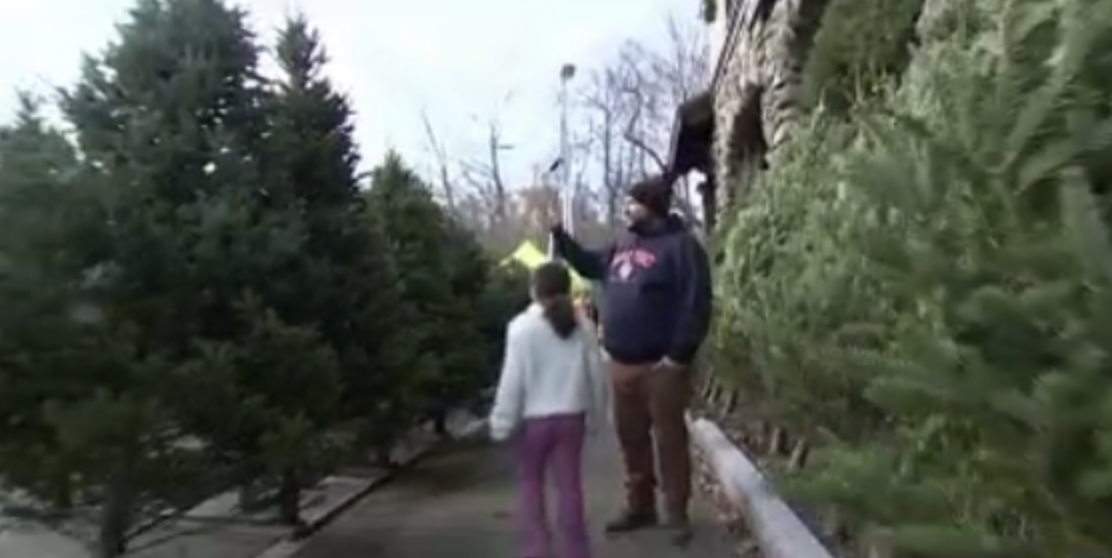 In Belmont, Lions Club raises money for charity while selling Christmas trees