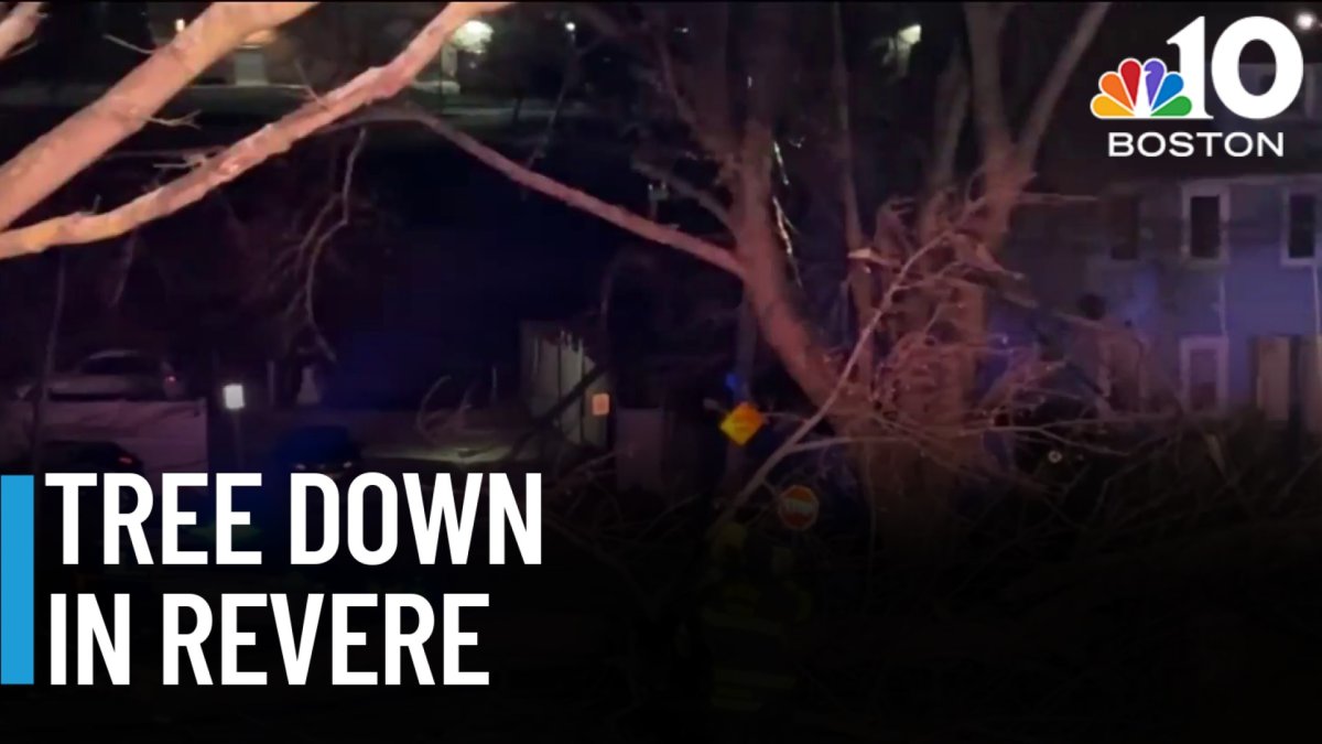 Strong winds bring down tree, wires in Revere – NBC Boston