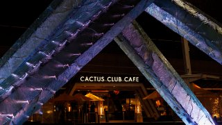 Cactus Club Cafe opens in Boston's Back Bay  NBC Boston