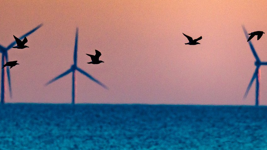 Nantucket, MA – September 11: Off the coast of Nantucket, birds fly in the foreground of the Vineyard Wind turbines on September 11, 2025. (Photo by Stan Grossfeld/The Boston Globe via Getty Images)