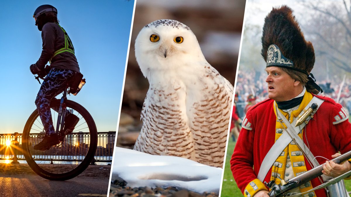 Picture Boston: Our most memorable photos of 2025