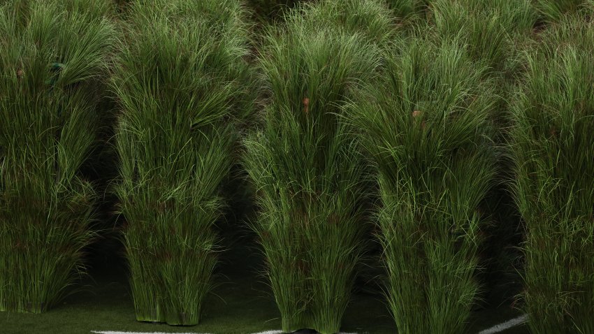 Performers dressed as Sugarcane grass step on stage for Puerto Rican singer Bad Bunny performance during Super Bowl LX Patriots vs Seahawks Apple Music Halftime Show at Levi’s Stadium in Santa Clara, California on February 8, 2026. (Photo by Patrick T. Fallon / AFP via Getty Images)