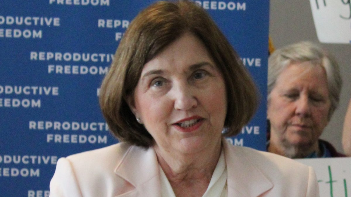 Democrat Cinde Warmington announces run for NH governor