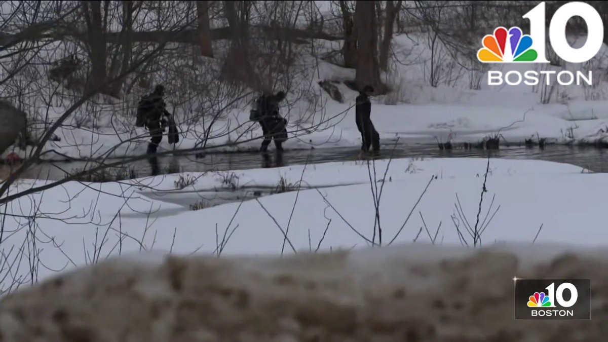 Neighbors react after human remains found in Shirley: ‘Pretty shocked ...