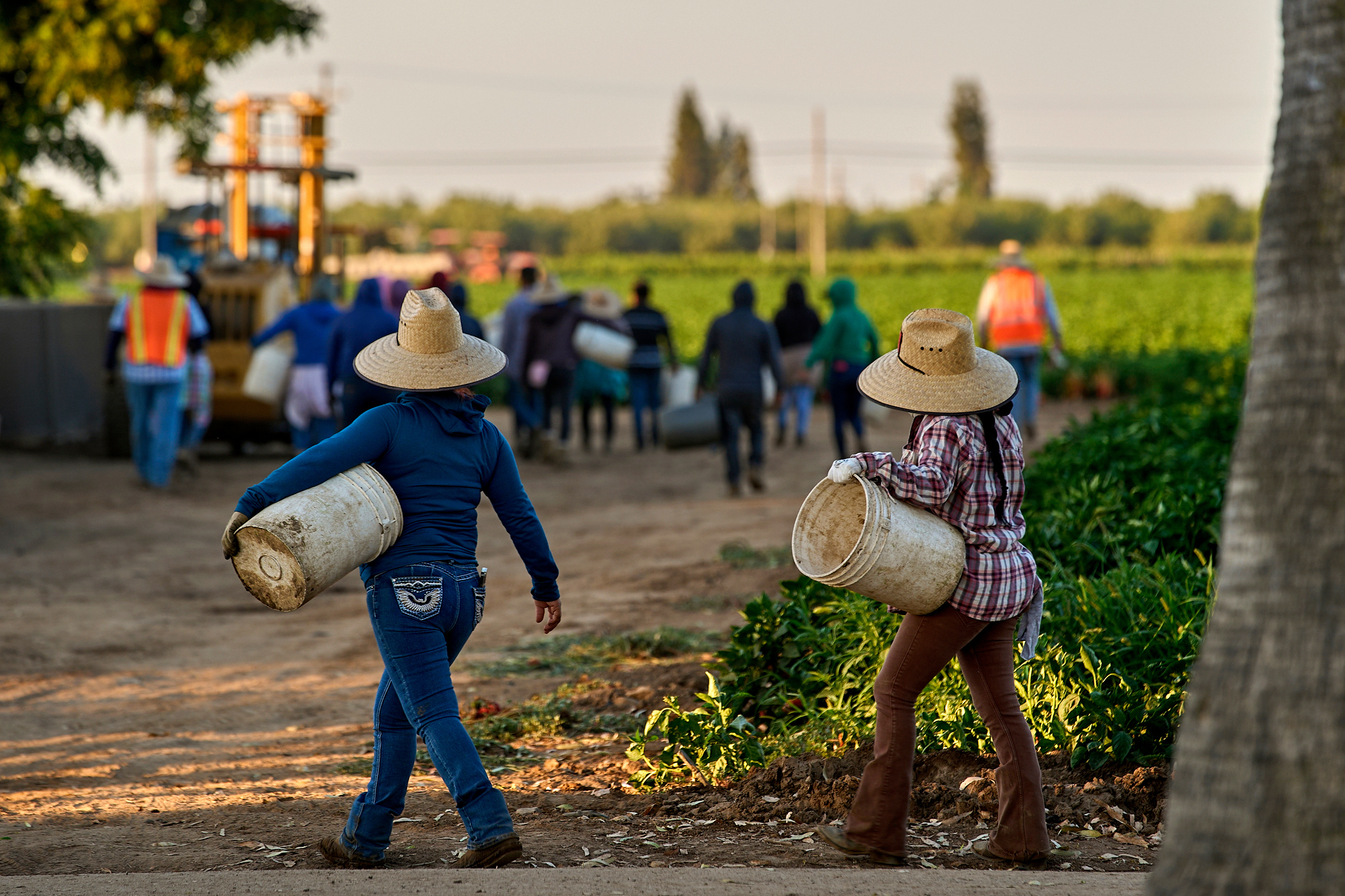 Migrant farmworkers