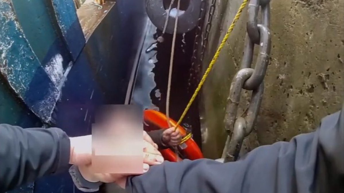 New Bedford water rescue caught on camera – NBC Boston