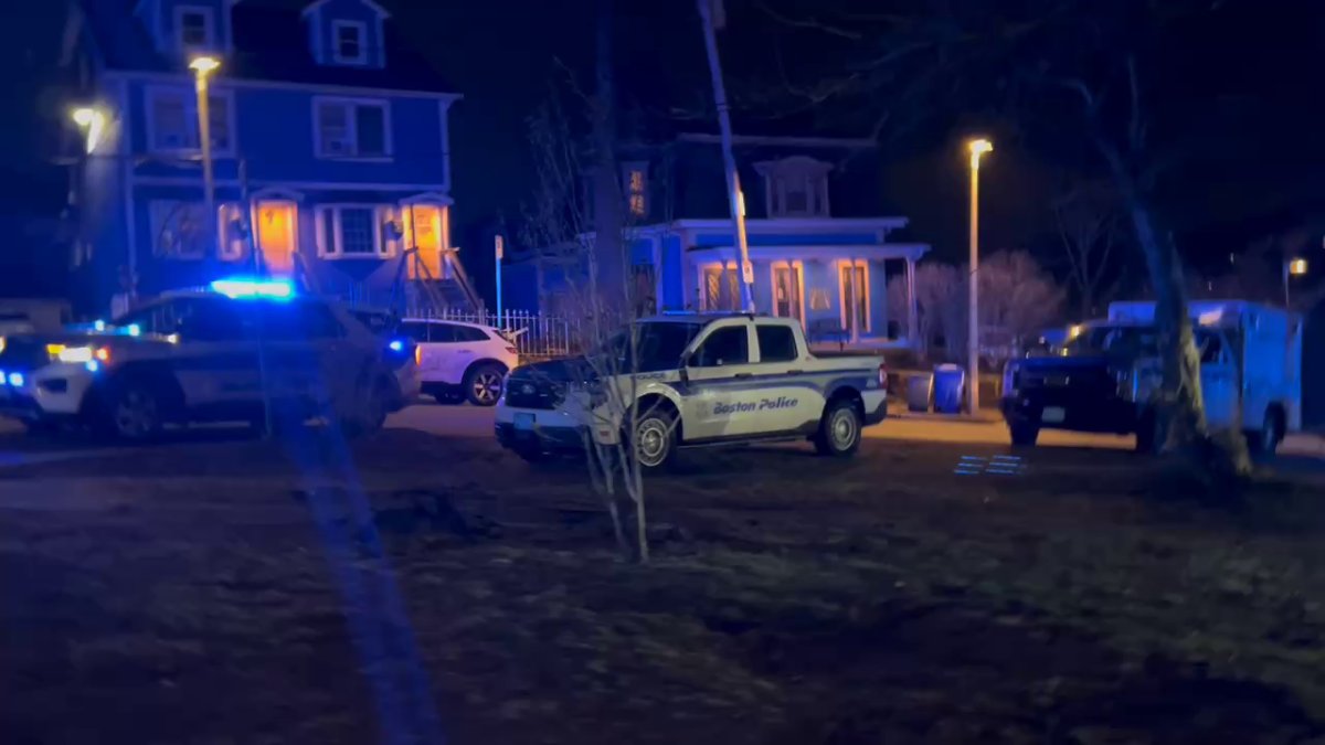 Boston police fatally shoot carjacking suspect in Roxbury – NBC Boston