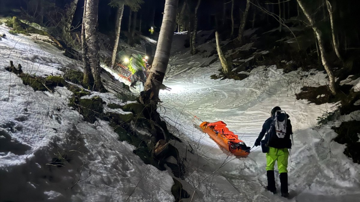 Snowboarder seriously injured after hitting a tree on NH's Cannon Mountain