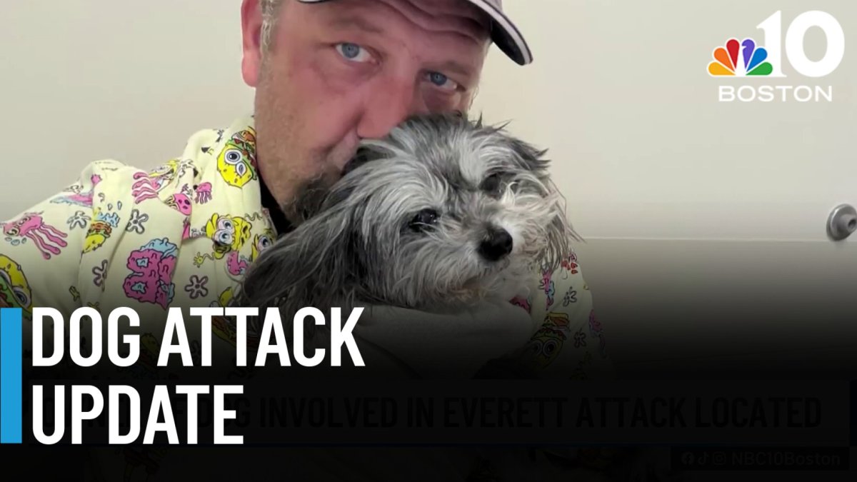 After dog mauled in Everett, owner of attacking dog is located – NBC Boston